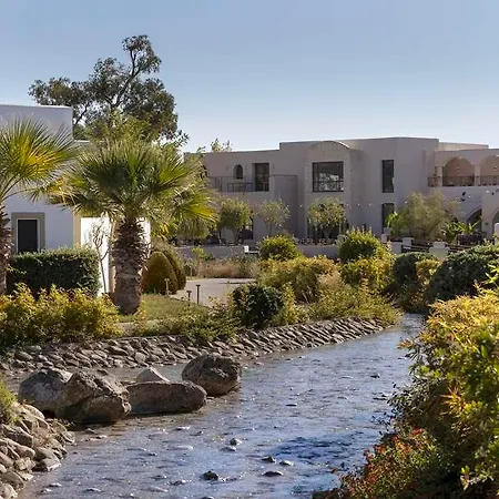 Curio Collection By Hilton Rhodes, Greece *